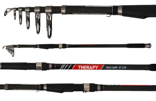 Picture of Sema Therapy Tele Carp, 3.60m 3.00lbs