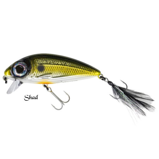 Obrazek SPRO Iris Flanky 9cm Shad